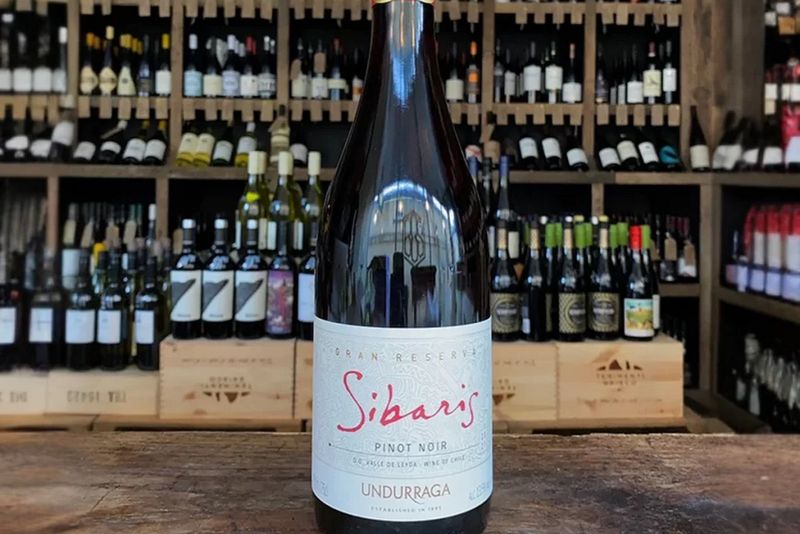 Le Sibaris Pinot Noir Gran Reserva 2024